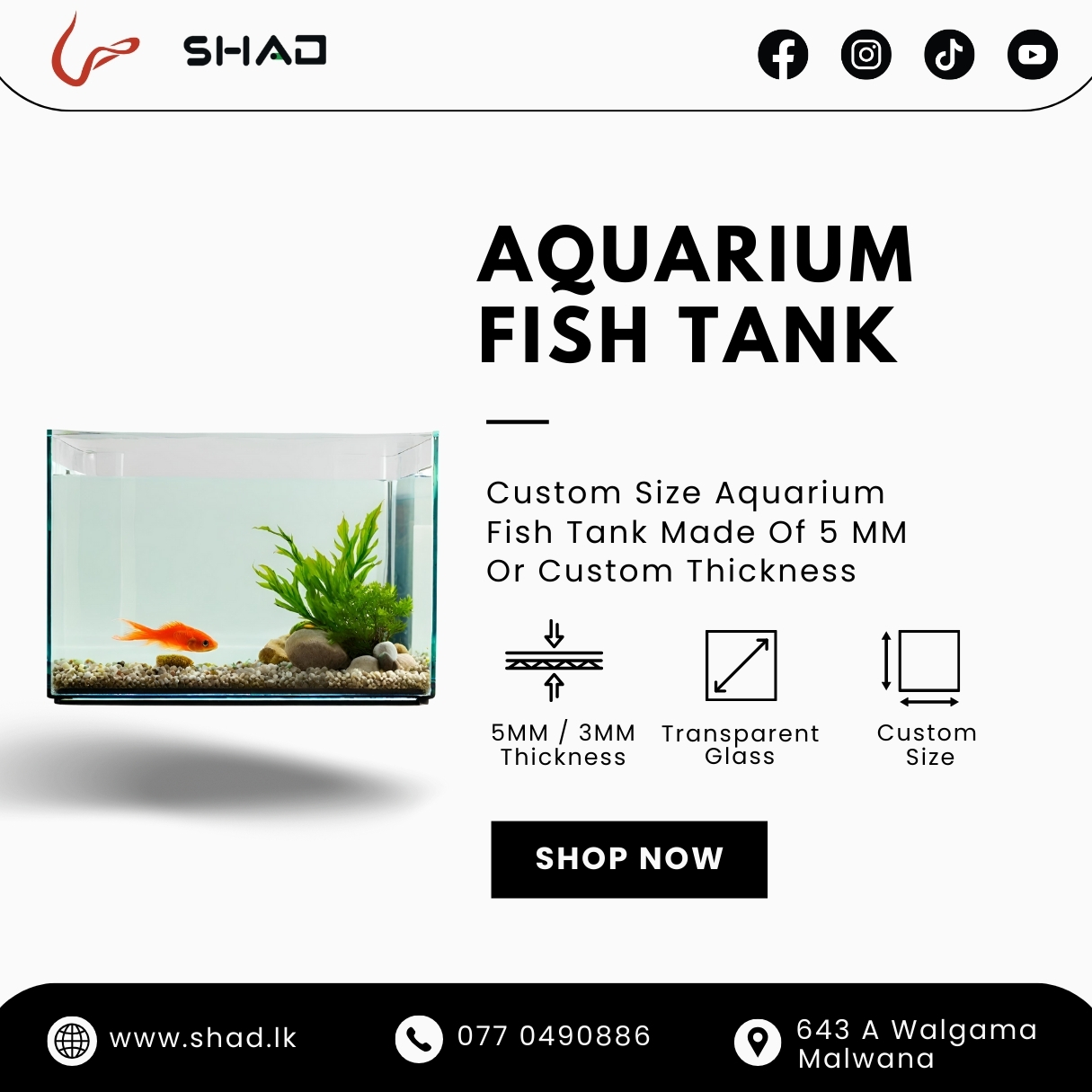 Fish Aquarium